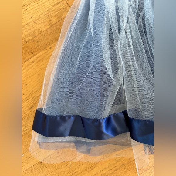 Weissman Train Bleu dance costume tulle satin dress blue and white. - Picture 3 of 13